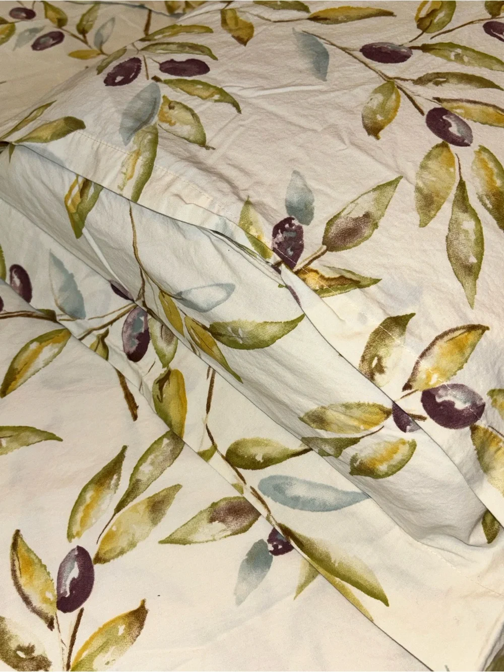 POTTERY BARN ORGANIC COTTON KING DUVET + 2  PILLOW SHAMS  OLIVE BRANCH PRINT